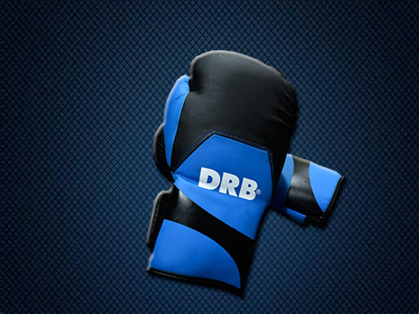 Colocar la descripcion desde db